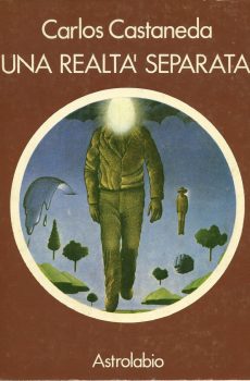 Una realtà separata di Carlos Castaneda