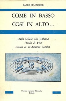 COME IN BASSO COSI' IN ALTO… di CARLO SPLENDORE
