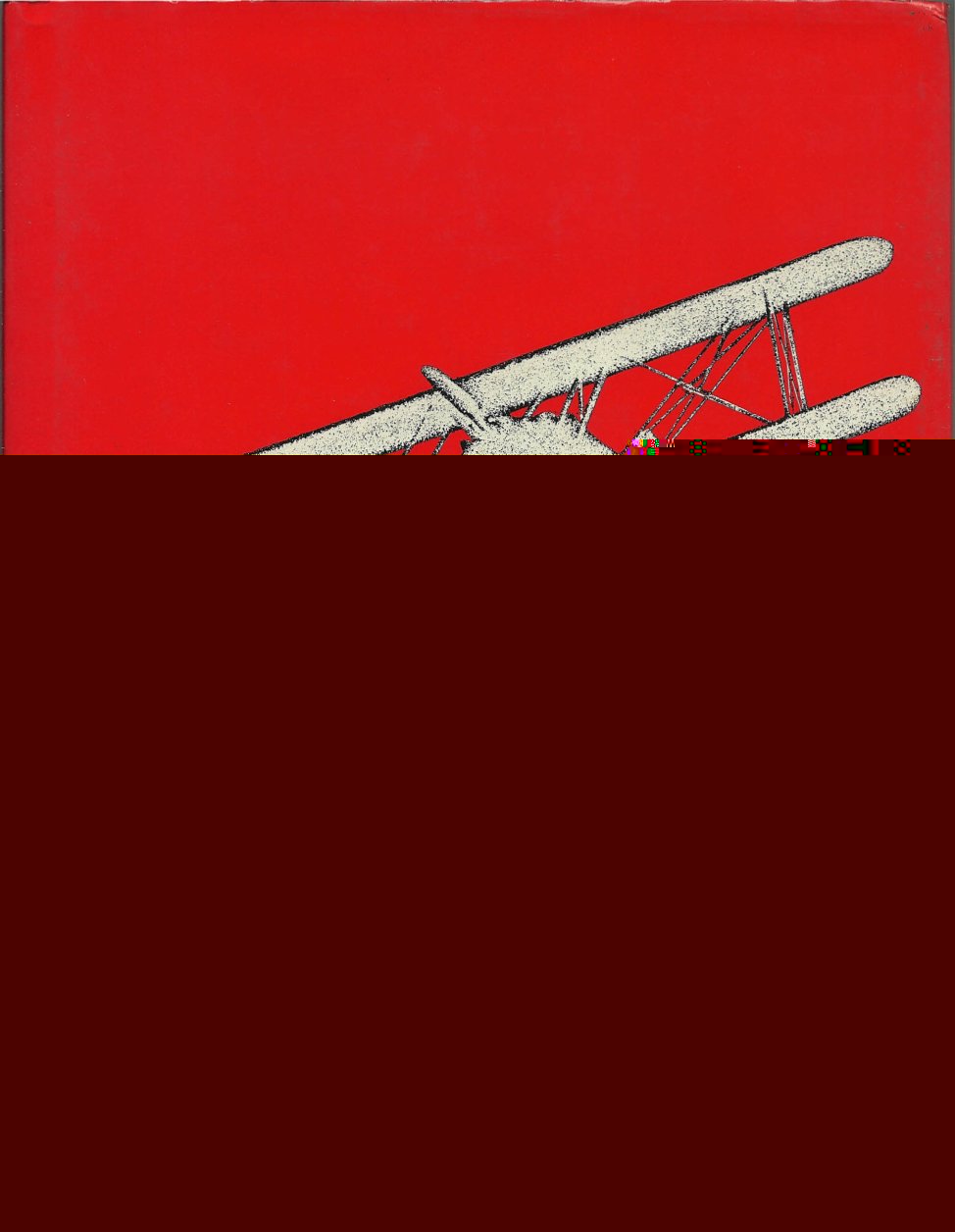 BIPLANO di RICHARD BACH